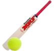 Cricket Bat and ball Combo