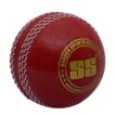 Cricket Bat and ball Combo - Image 3